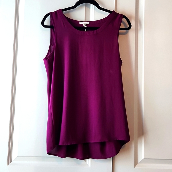 Pleione Tops - Pleione Purple Blouse MP